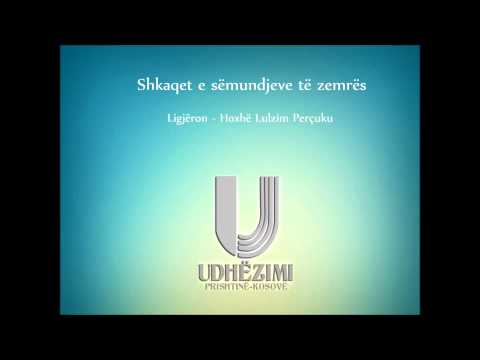 Shkaqet e sëmundjeve të zemrës - Lulzim Perçuku