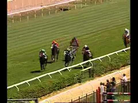 rm 20130519 01 p dionisia