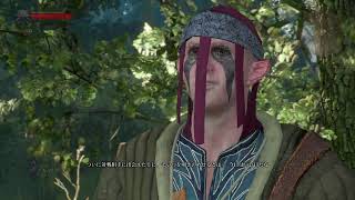 #10 [ウィッチャー3]新DLC「追憶の調べ」発売に向けて復習しましょう [PS5]