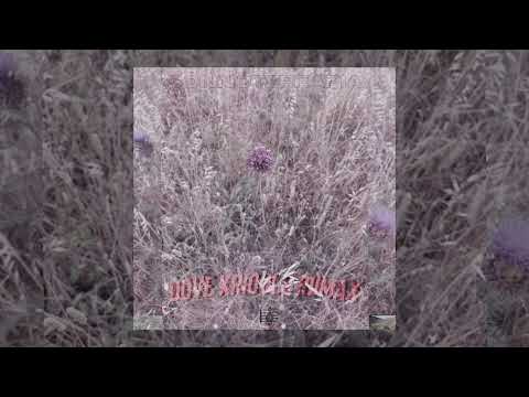 Dove Krioulo Riimax - Musica (Official Áudio )