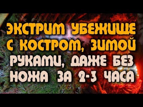 НОЧЕВКА В ЛЕСУ ЗИМОЙ Выживание - Убежище в лесу - шалаш на выворотне, который не сгорит от костра