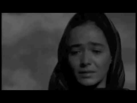 Video player poster image This is an image