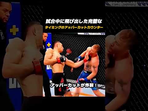芸術的なタイミング！思わず感嘆する完璧なアッパーカウンター