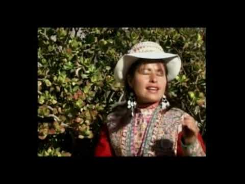 Dos Corazones - Roxana Gutierres