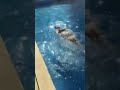 Tere Naam Fame Bhumika Chawla In Bikini
