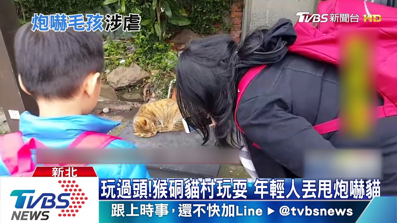 玩過頭!猴硐貓村玩耍 年輕人丟甩炮嚇貓
