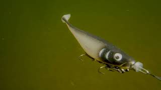 Gumová nástraha Rapala Soft Peto 18_SCRR