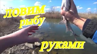 Ссылка