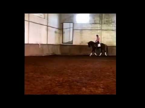 "Firme da Caniceira" e joão Zúquete