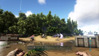 実況放送  初見歓迎！？　ARK 公式サーバー　レベル上げやらを行う！！