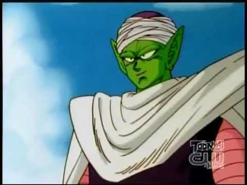 Sonic talks about dragon ball z kai on toonzai