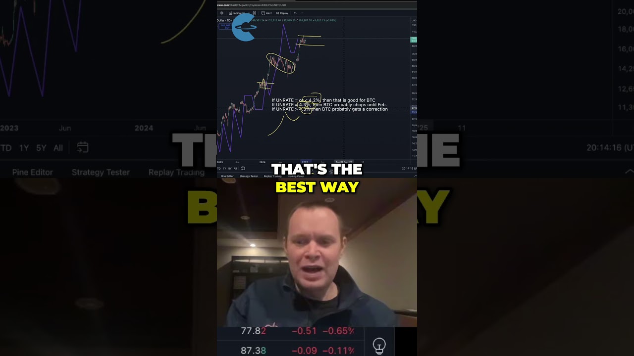 Bitcoin: The Unemployment Rate & Dubious Speculation