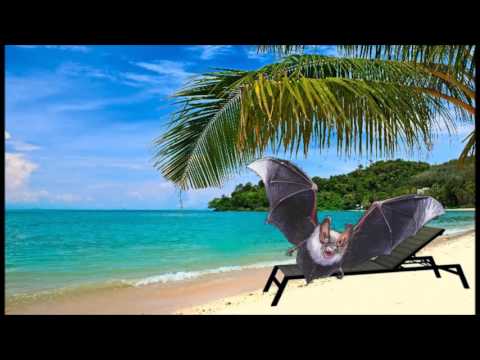 07. NAFURANY NIETOPERZ EWENEMENT LORD BUŁA - PLAŻA MIAMI (ft. EL LUDWIKO)