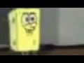 Low Quality Spongebob Memes That Sponge My Bob
