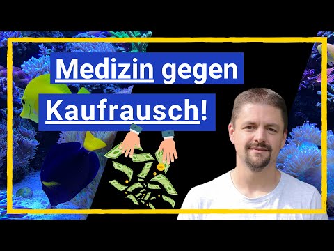 Das Meerwasseraquarium I Die Wahl der passenden Technik