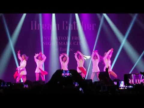 191103 Dreamcatcher (드림캐쳐) - What @Paris [FANCAM]