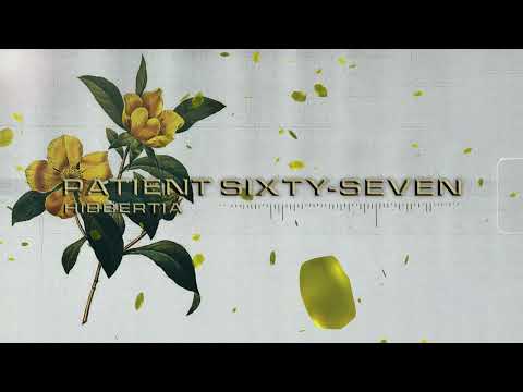 Hibbertia - Patient Sixty-Seven