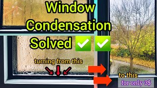 Window Condensation Solved | Preventing Window Condensation.