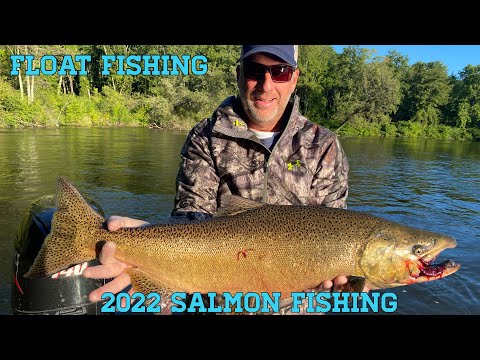 Michigan Salmon Fishing - Bobber Downs 2022