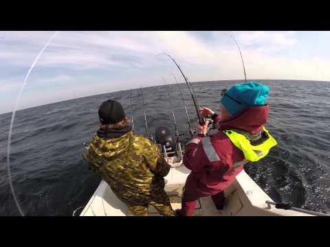 Salmon trolling Skillinge 22.4.2014