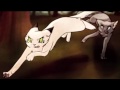 Warriors Cats Return - Trailer 