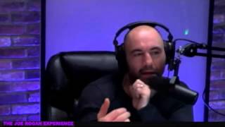 10% Gay with Brody Stevens (from Joe Rogan Experience #424)