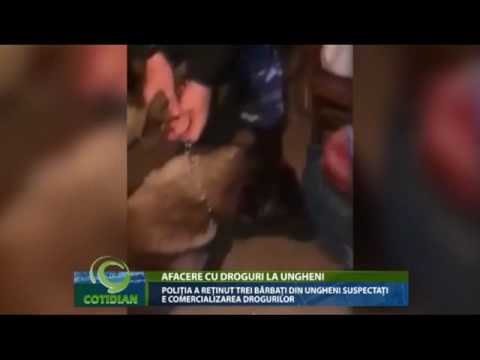 Poliția a reținut trei bărbați din Ungheni suspectați e comercializarea drogurilor