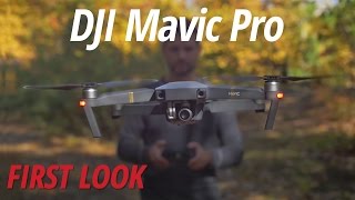 DJI Mavic Pro Platinum CP.PT.00000071.01 B&H Photo Video DJI Mavic Pro Platinum CP.PT.00000071.01 B&H Photo Video