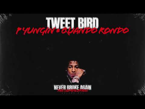 Video thumbnail for Tweet Bird