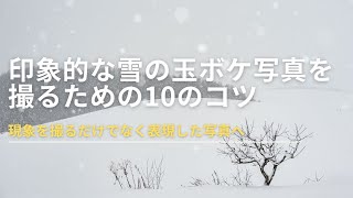印象的な雪の玉ボケ写真を撮るための10のコツ
