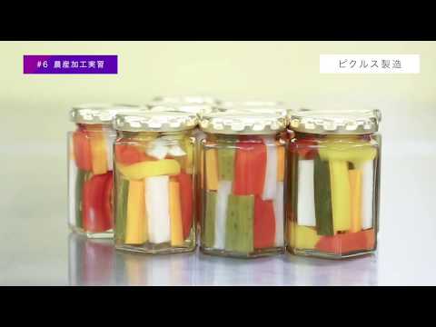 #6 農産加工実習