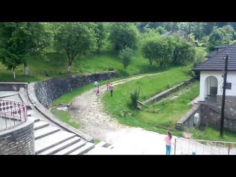 Concurs de orientare la Cabana Caprioara