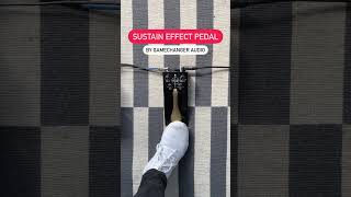 Sustain Pedal | Pickup Music