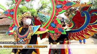 Download lagu KAJI GAUL { WINDA WIDARA } MEDI PUTRA LIVE BOROS GUNUNG SARI mp3