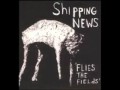 Shipping News - The Human Face 