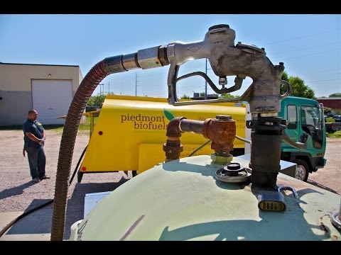 Biodiesel Power