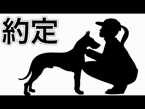 投機的約定 - 定義