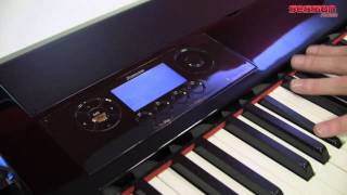 Video thumbnail for STUDIOLOGIC Numa Nero by session