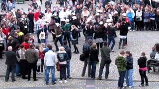 preview picture of video 'Flash Mob Skierniewice'