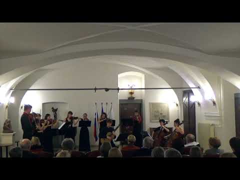 Timotej Kosovinc - Apology (Timotej Kosovinc & Camerata Laibach) - LIVE