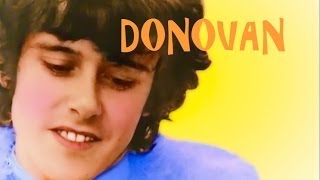 &quot;Sunshine Superman&quot; (Lyrics) ★ DONOVAN ★ 1966