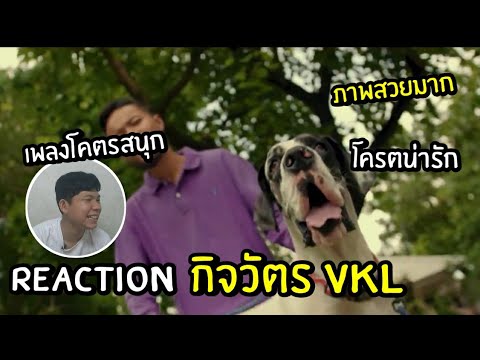 reaction | VKL - กิจวัตร [OFFICIAL MV]//NAYโอ๊ต
