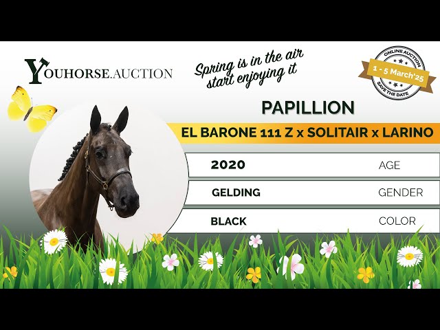 Papillion