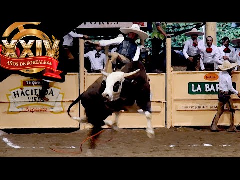 RIDERS vs. BULLS - Bull Riding Day 29 Final - Millionaire Championship 2021 THV