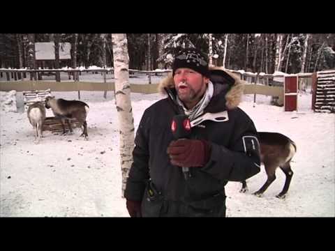 Renen blev inneboende  - Nyheterna (TV4)