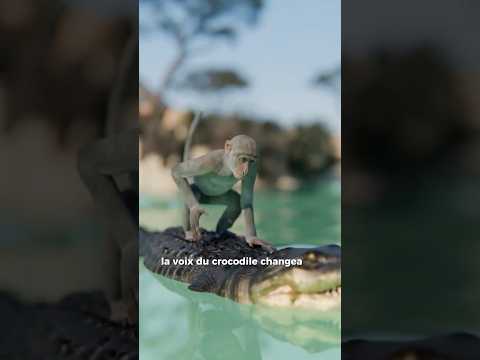 Un Cœur De Crocodile 🐊