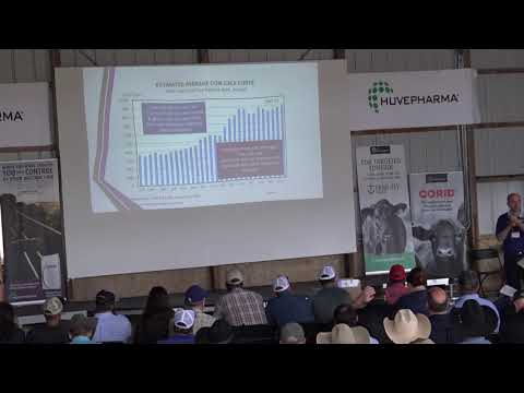 2021 KSU Stocker Field Day — Beef Cattle Outlook