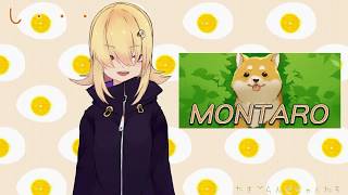 【やってみた】ヤバめの柴犬に出会ったひよこ【Montaro】