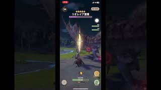 リオレイア亜種最終日