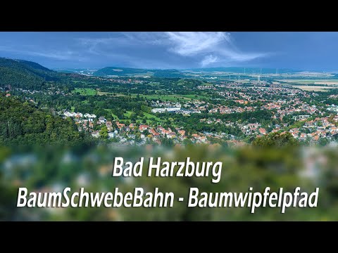 Bad Harzburg 🌲 Burgberg - Baumschwebebahn - Baumwipfelpfad [HARZ]